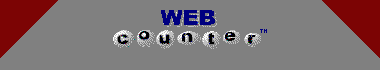 Web Counter